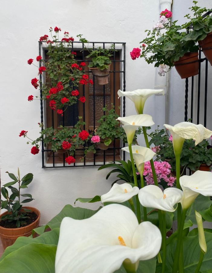 Apartamento El patio de Regina Córdoba Exterior foto
