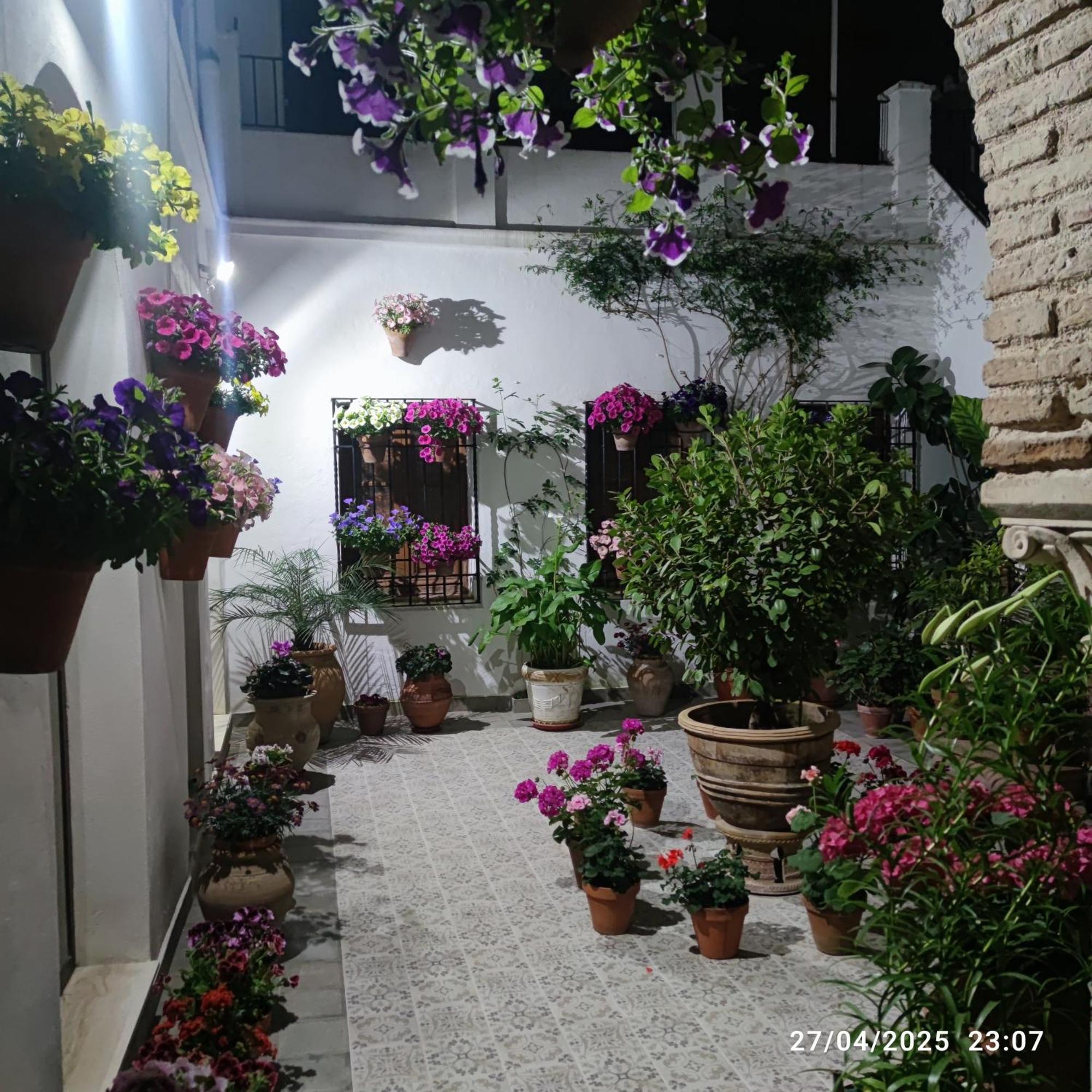 Apartamento El patio de Regina Córdoba Exterior foto