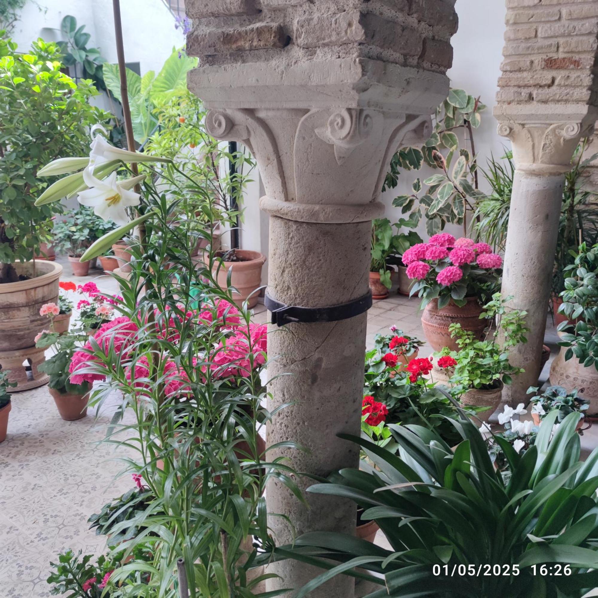 Apartamento El patio de Regina Córdoba Exterior foto
