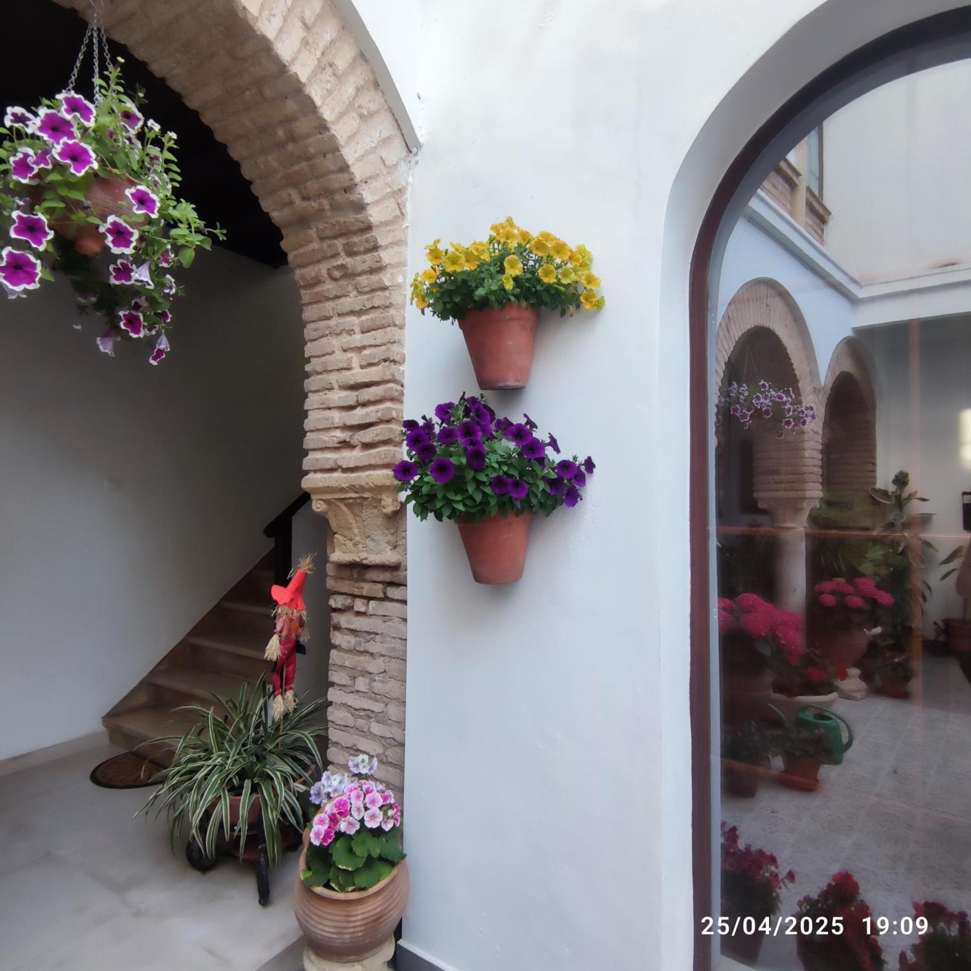 Apartamento El patio de Regina Córdoba Exterior foto