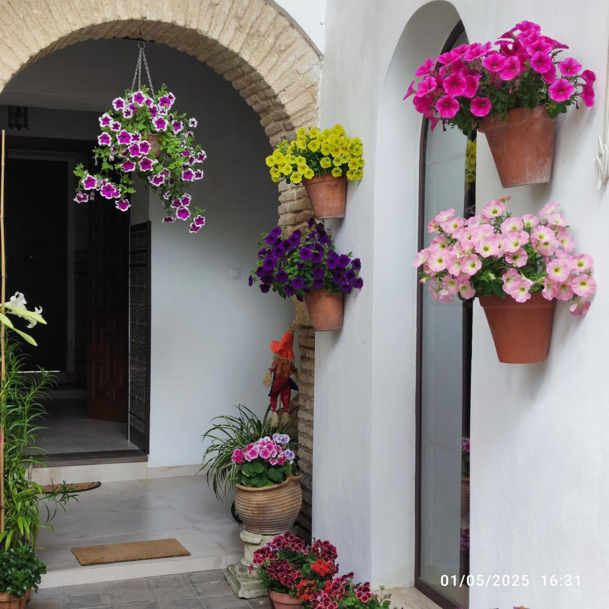 Apartamento El patio de Regina Córdoba Exterior foto