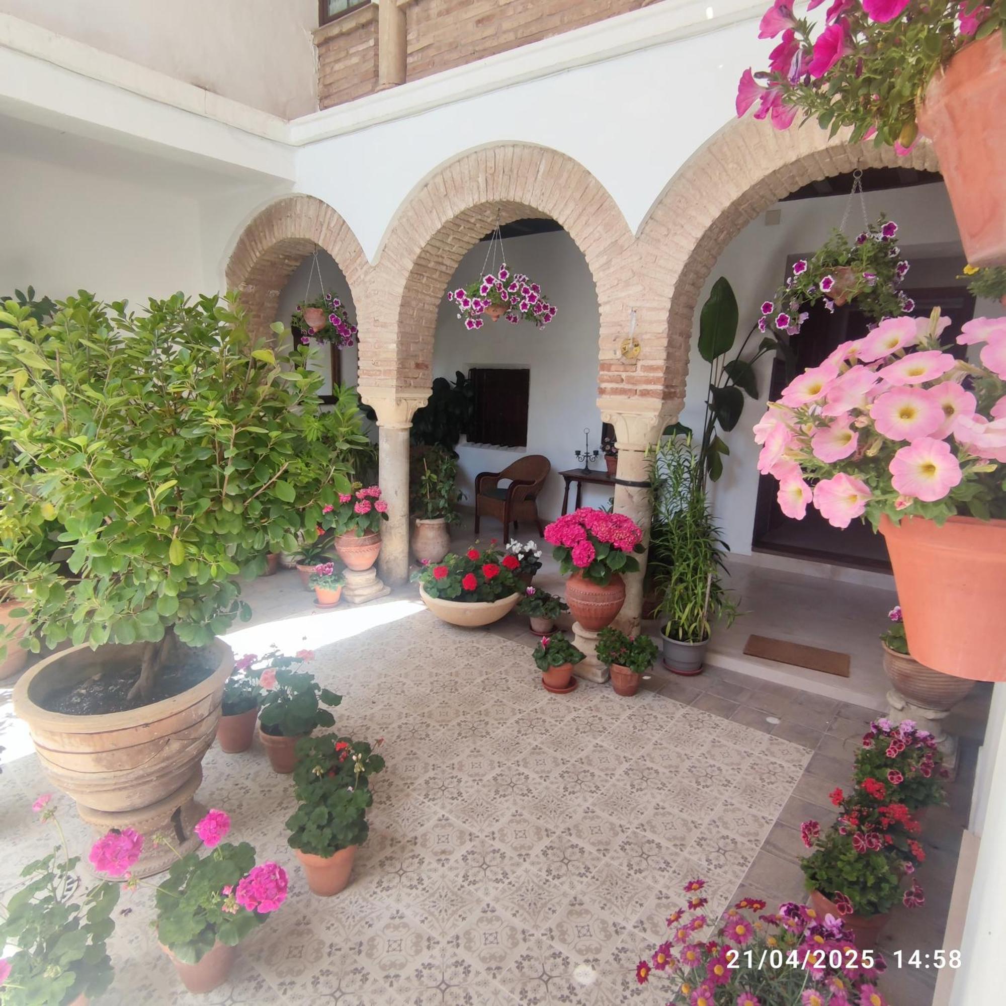 Apartamento El patio de Regina Córdoba Exterior foto